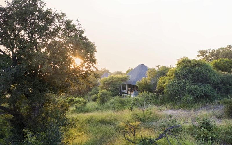 Londolozi Pioneer 20
